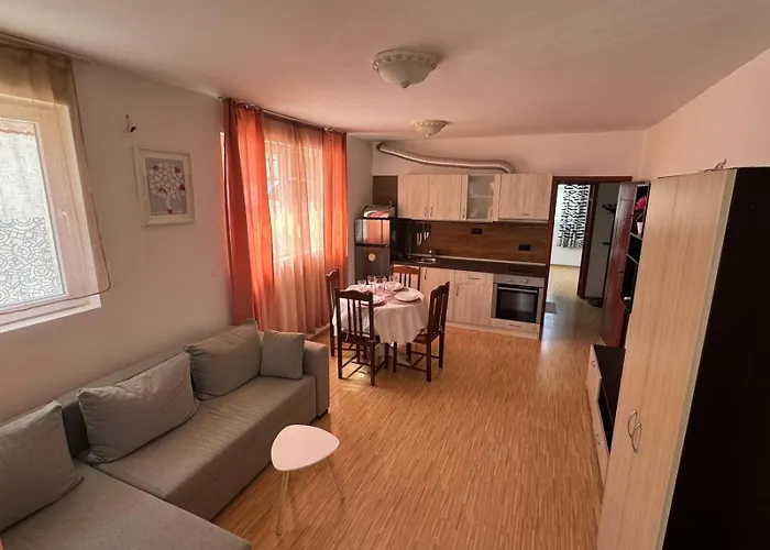 Sunny Day 7 布尔加斯