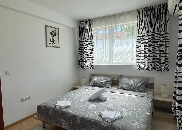 Sunny Day 7 布尔加斯